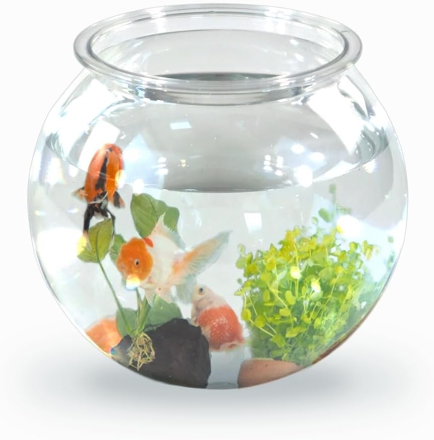 ® Pets, Bocal Poisson, Rond, Nemo, 4 litres, Plastique Pet eco, Design Transparent, 20x20x17, 5cm, Facile à Nettoyer, Résistant, Idéal pour la décoration intérieure, Herbes Aquatiques