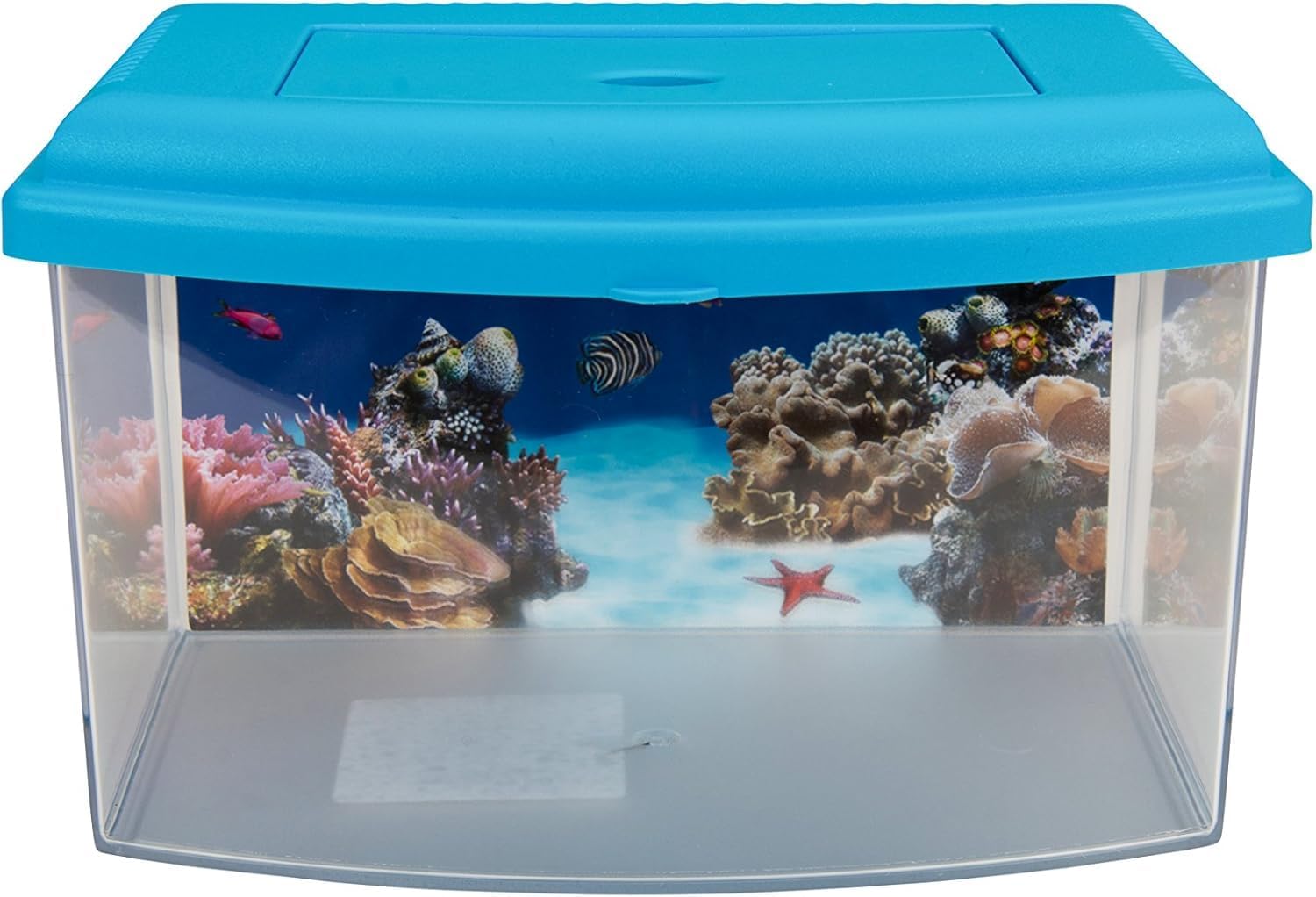 Aime Aquarium Plastique pour Aquariophilie - 1 Unité de couleur assortie