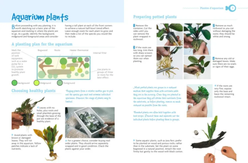 7138-c8eB0L._SL1280_