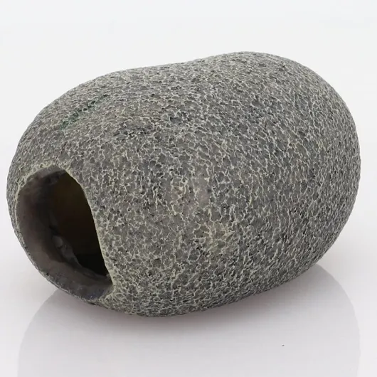 61vbV0CUF8S._AC_SL1000_