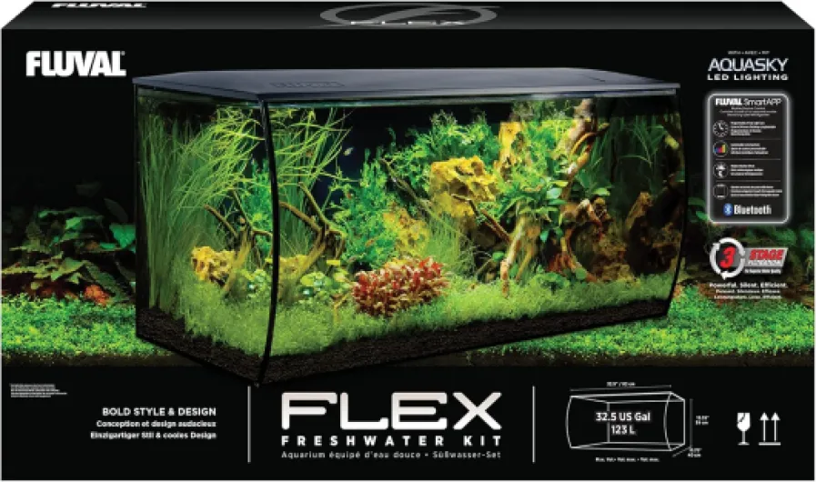 81woIfiad-L._AC_SL1500_