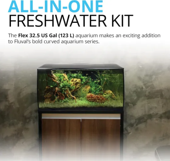 81LbPzSx30L._AC_SL1500_