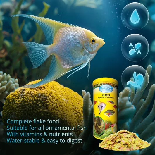 81Ptk xRirL._AC_SL1500_