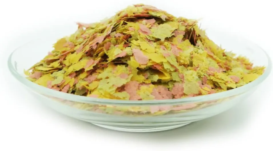 61BiitFNXzL._AC_SL1500_