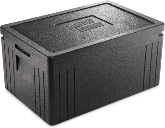 Thermohauser Eco Line Boîte Isotherme en polypropylène, Normes GN 1/1, avec Couvercle, 45 l, Noir Unique
