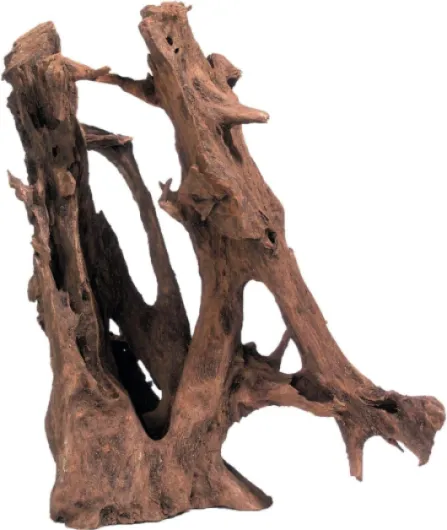 Flamingo Décoration Naturelle Mangrove - Racine de Mangrove Brune - M - 20-38CM