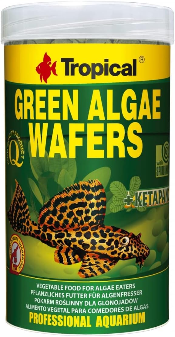 Green Algae WAFERS 250ml / 113g - Nourriture avec spiruline, algues et Feuilles de ketapang pour mangeurs du Fond Produits de la mer 250 ml (Lot de 1)