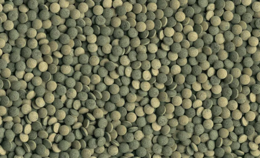 A1vL5O8K6TL._AC_SL1500_