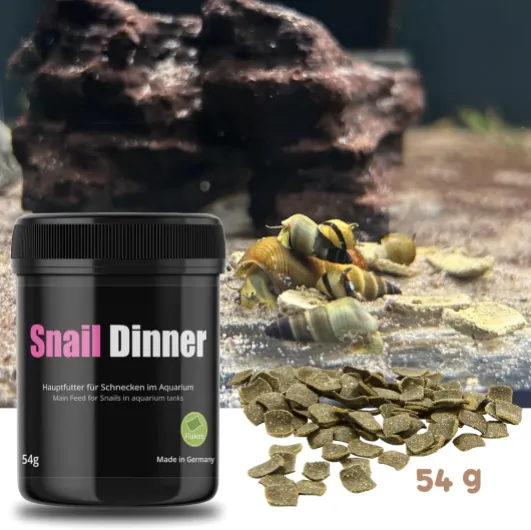 81AO xpLHfL._AC_SL1500_