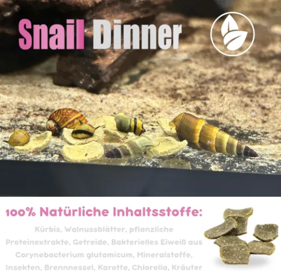 81QEFITeeML._AC_SL1500_