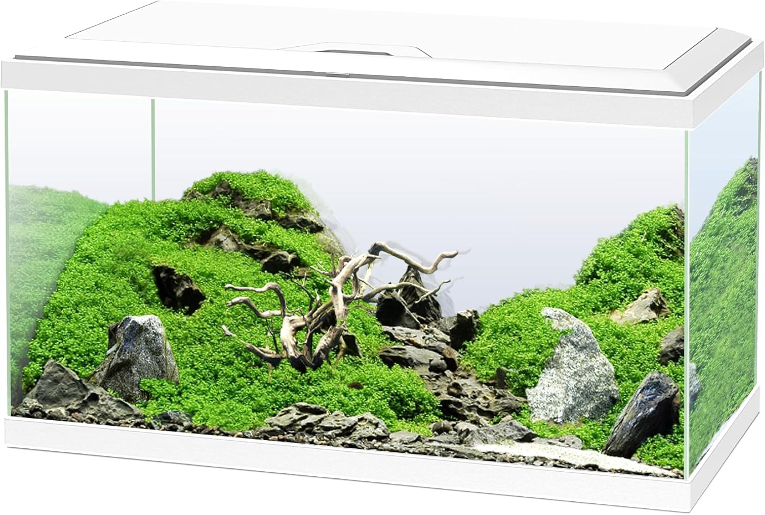 Ciano, Aquarium 60 Blanc, pour Poissons, Équipé d'un Filtre, Consommables, LED et Chauffage, 58L, Emballage Renforcé pour Envoi Web