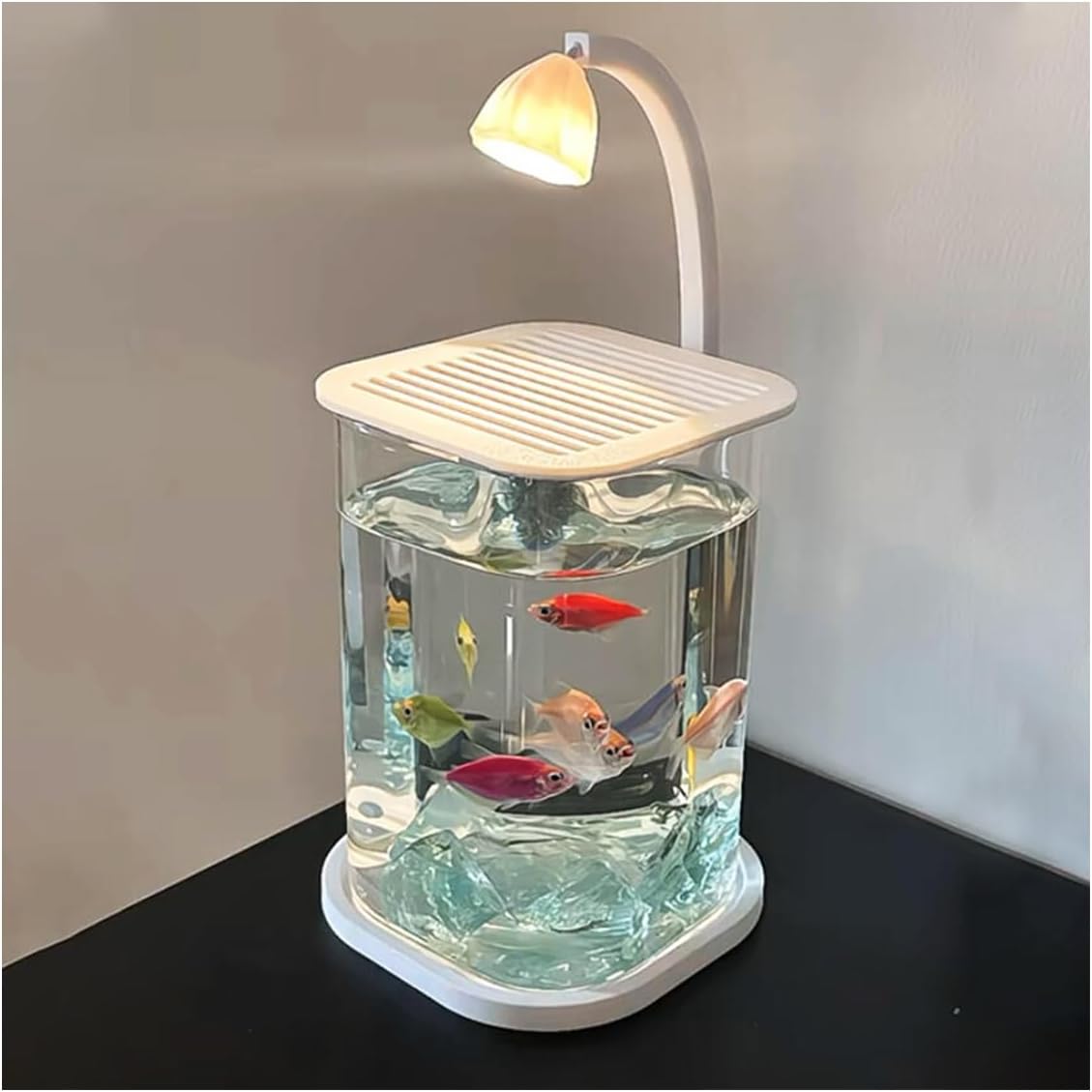 Purzen Petit Aquarium Mini Bac à Poissons en Verre pour Poisson Combattant Crevettes Maison Bureau Débutant