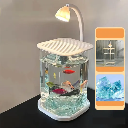 61NirkbNcZL._AC_SL1200_