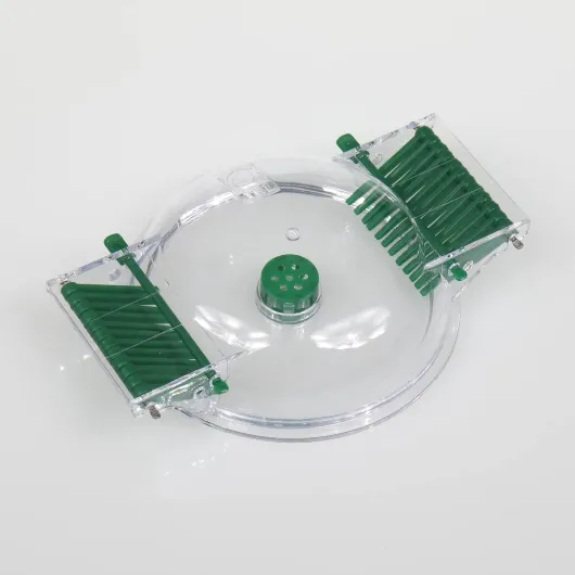 61Q39KiPiBS._AC_SL1500_