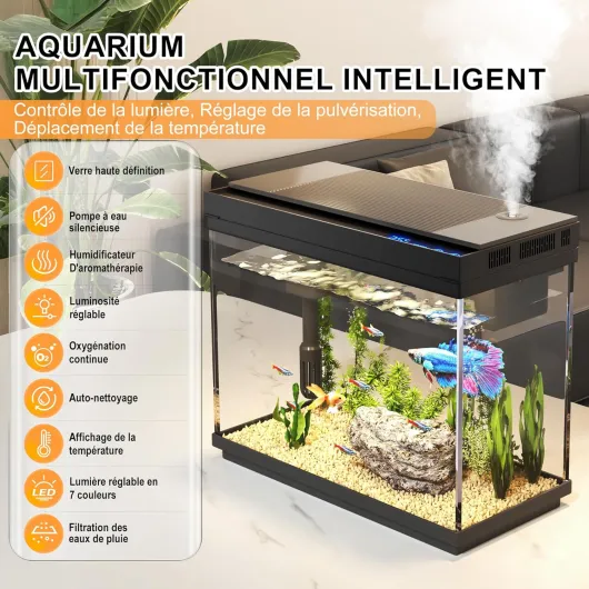 81Ru4q6hglL._AC_SL1500_