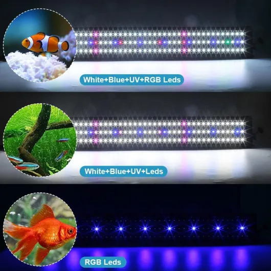 61fi8jhnHdL._AC_SL1000_