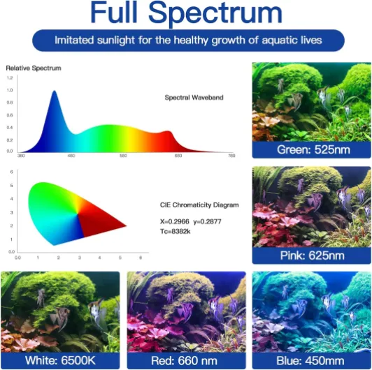 81Y52D zcqL._AC_SL1500_