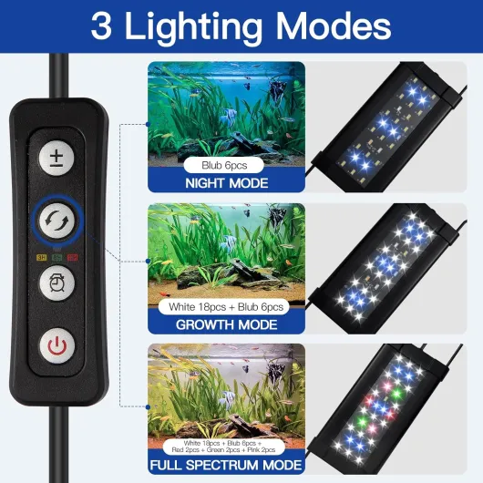 81vapa95KxL._AC_SL1500_