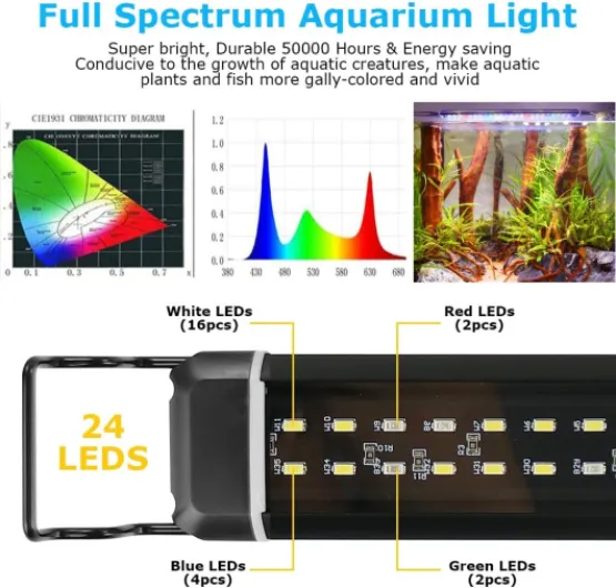 71RseOm3RtL._AC_SL1001_