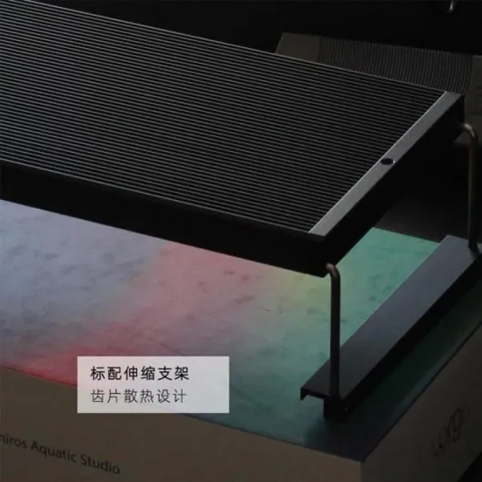 61UiY2f3GOL._AC_SL1000_