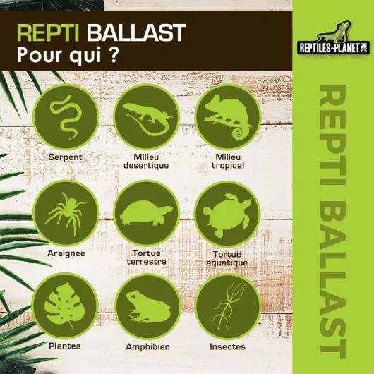 61m6EZJdMbL._AC_SL1000_