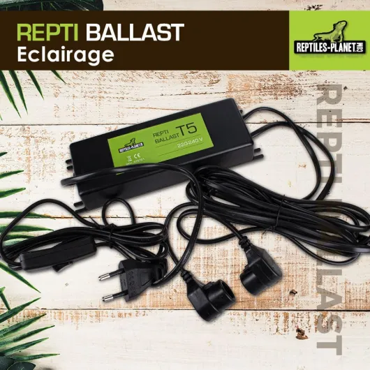 71KGh3B8hyL._AC_SL1000_