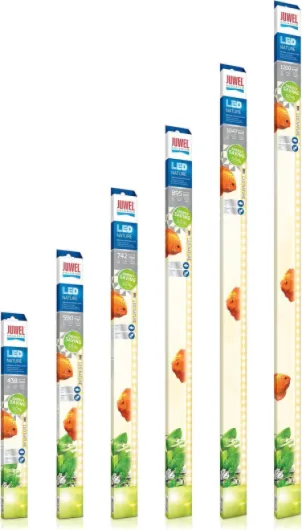 81r9Q7y2BoL._AC_SL1500_