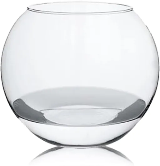 Aquarium Boule Vase en Verre - Diamètre 23.9 x Hauteur 20 cm - -JUANIO-