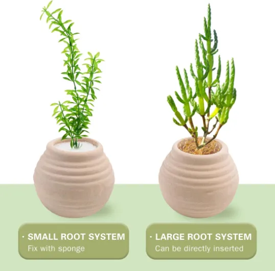 71aCrmLv7tL._AC_SL1500_