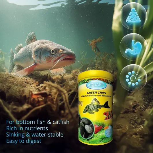 81CY65Iyt L._AC_SL1500_