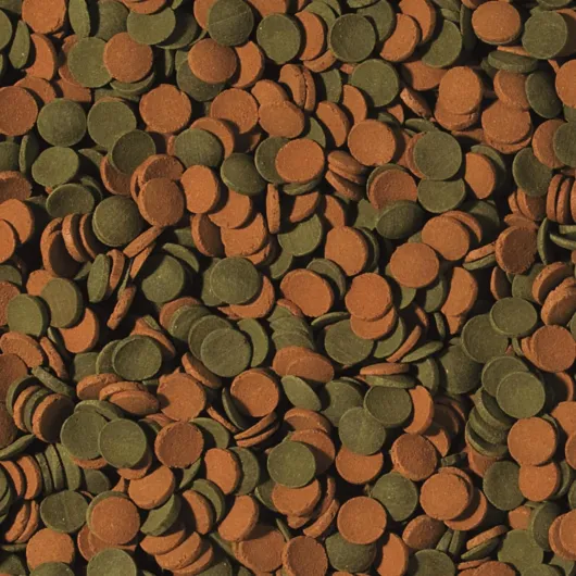 81CURkaLo8L._AC_SL1500_