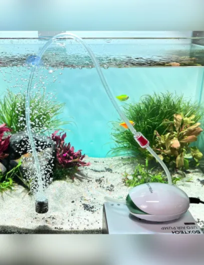 81gQLn-rWQL._AC_SL1500_