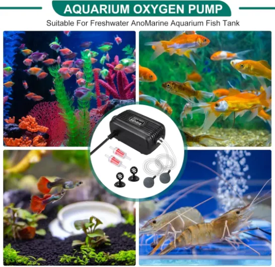 81lIAs8h4WL._AC_SL1500_