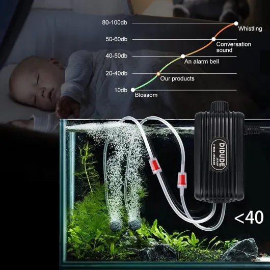 71Vw19ImMFL._AC_SL1500_