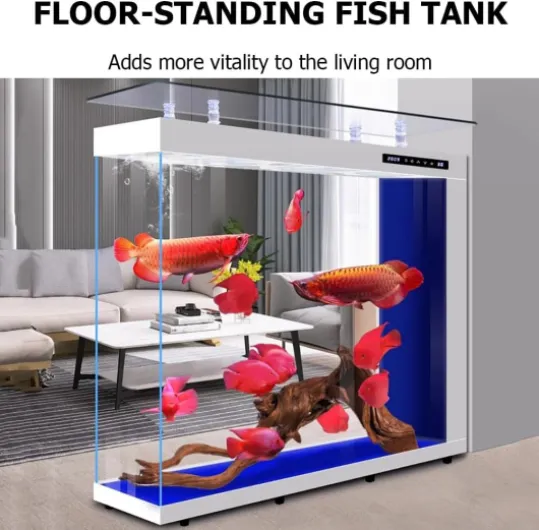 61sgedeBn6L._AC_SL1001_