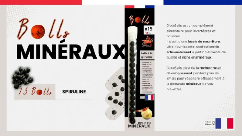 71Aamxb9y6L._AC_SL1500_