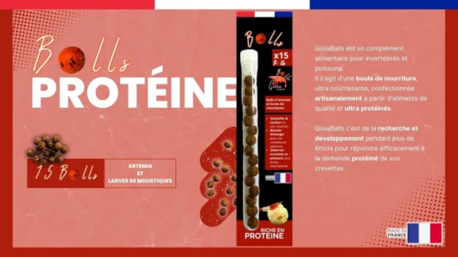 71JazzPWBZL._AC_SL1500_