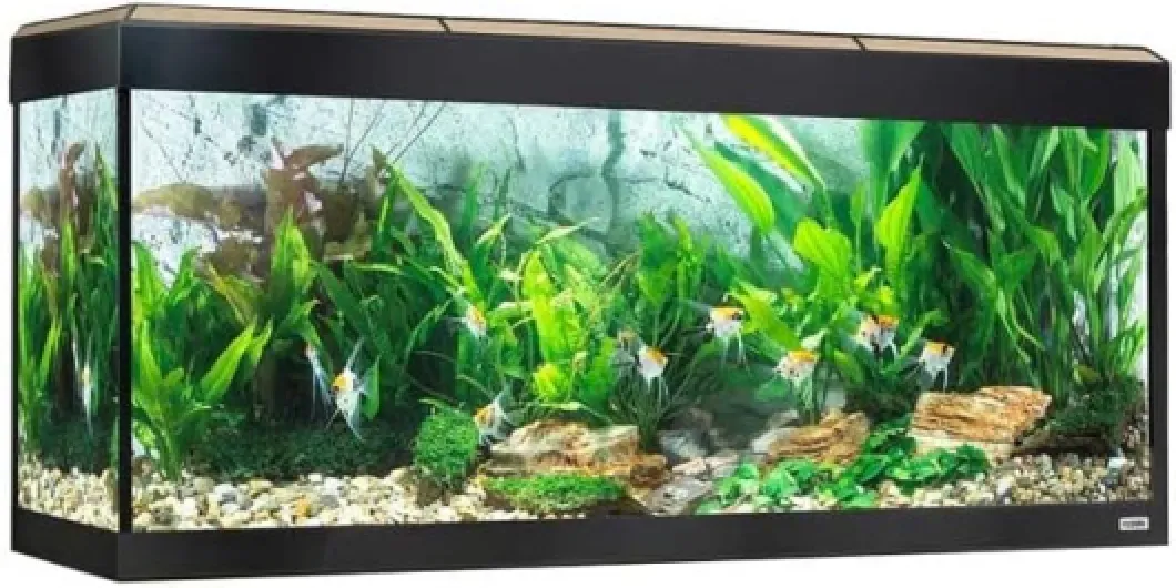 Aquarium Roma éclairage LED Bluetooth, 240 l, Chêne Chêne 240 l