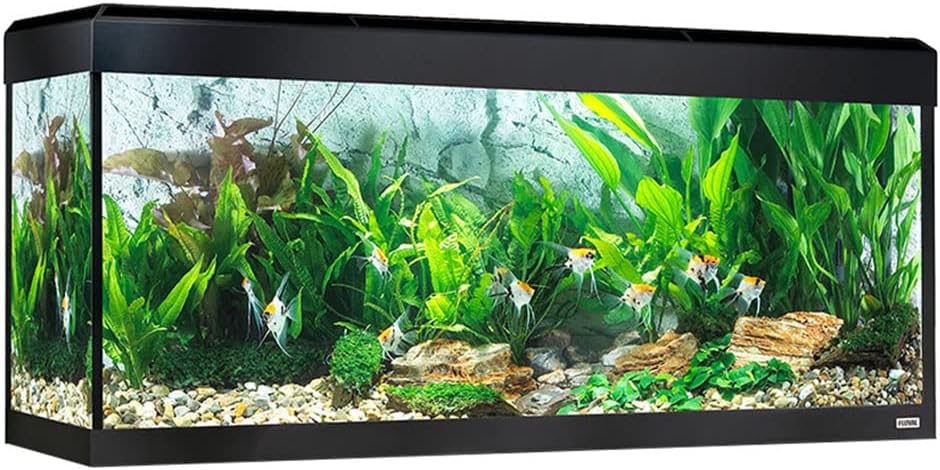 Aquarium Roma éclairage LED Bluetooth, 240 l, Noir Noir 240 l