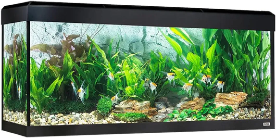 Aquarium Roma éclairage LED Bluetooth, 240 l, Noir Noir 240 l