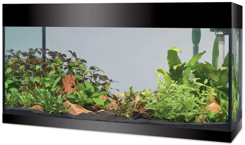 Askoll Aa350053 Aquarium Pure LED, XL, Noir Noir XL