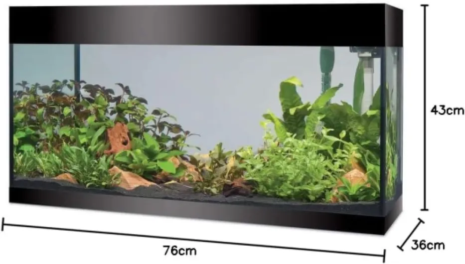 51Q1it2-ZrL._AC_SL1097_