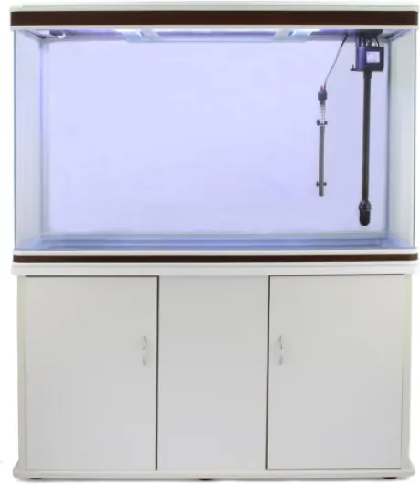 71UNkY28OcL._AC_SL1500_