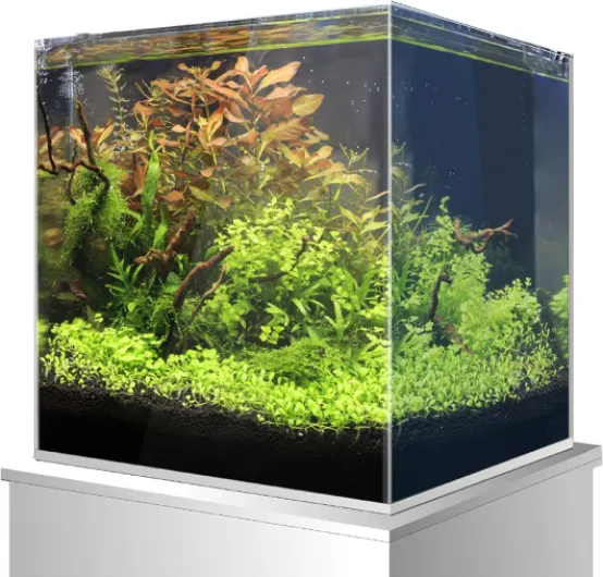 81np4ymfX2L._AC_SL1500_