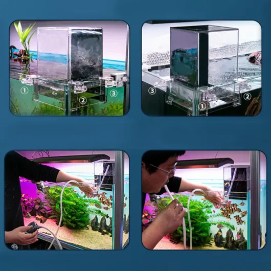 61g2vdp2X2L._AC_SL1001_