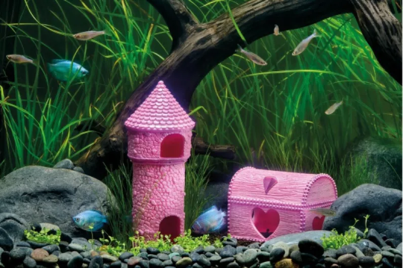 71ctR3MiQGL._AC_SL1201_