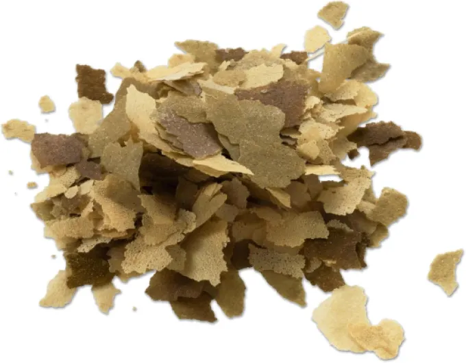 71dNV 4Tz8L._AC_SL1500_