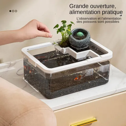 71OCV6DUlcL._AC_SL1500_