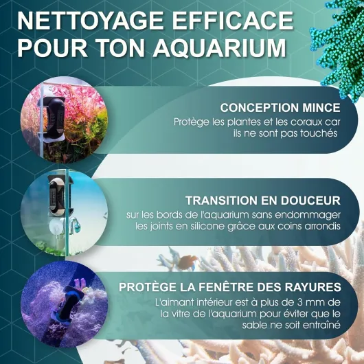 81Yhv2xaNpL._AC_SL1500_