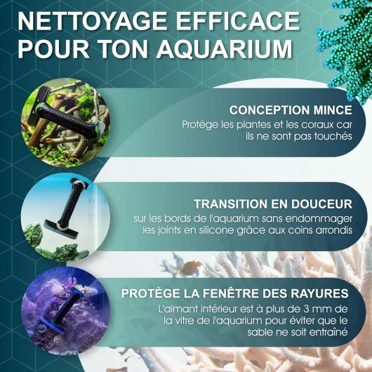 81t5DZs8F L._AC_SL1500_